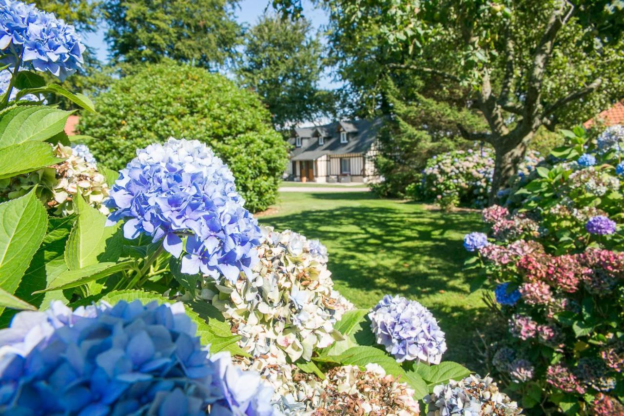 Clos Celeste - Campagne D Etretat Avec Piscine Et Spa Écrainville Екстериор снимка